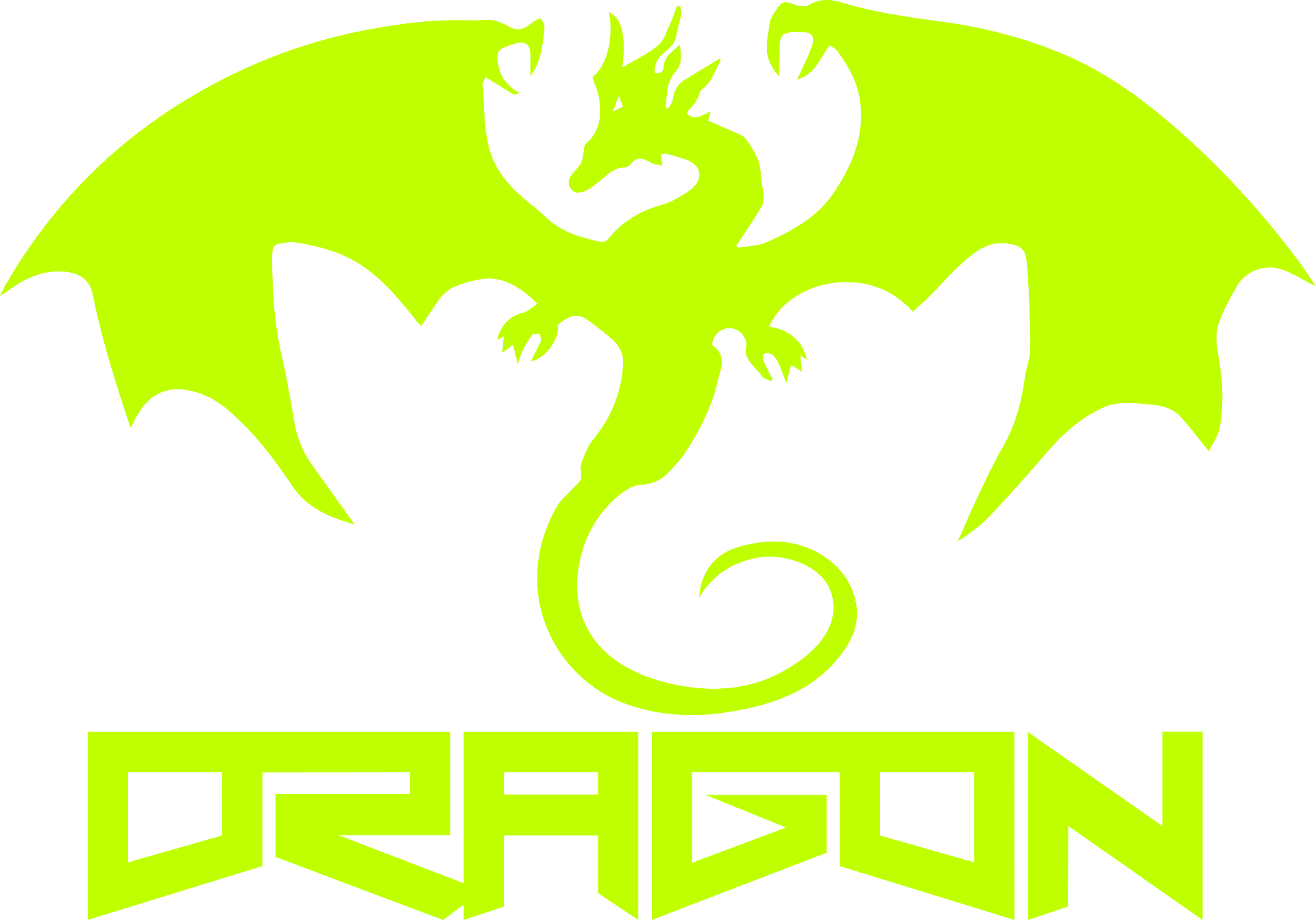 Dragon Sport logo